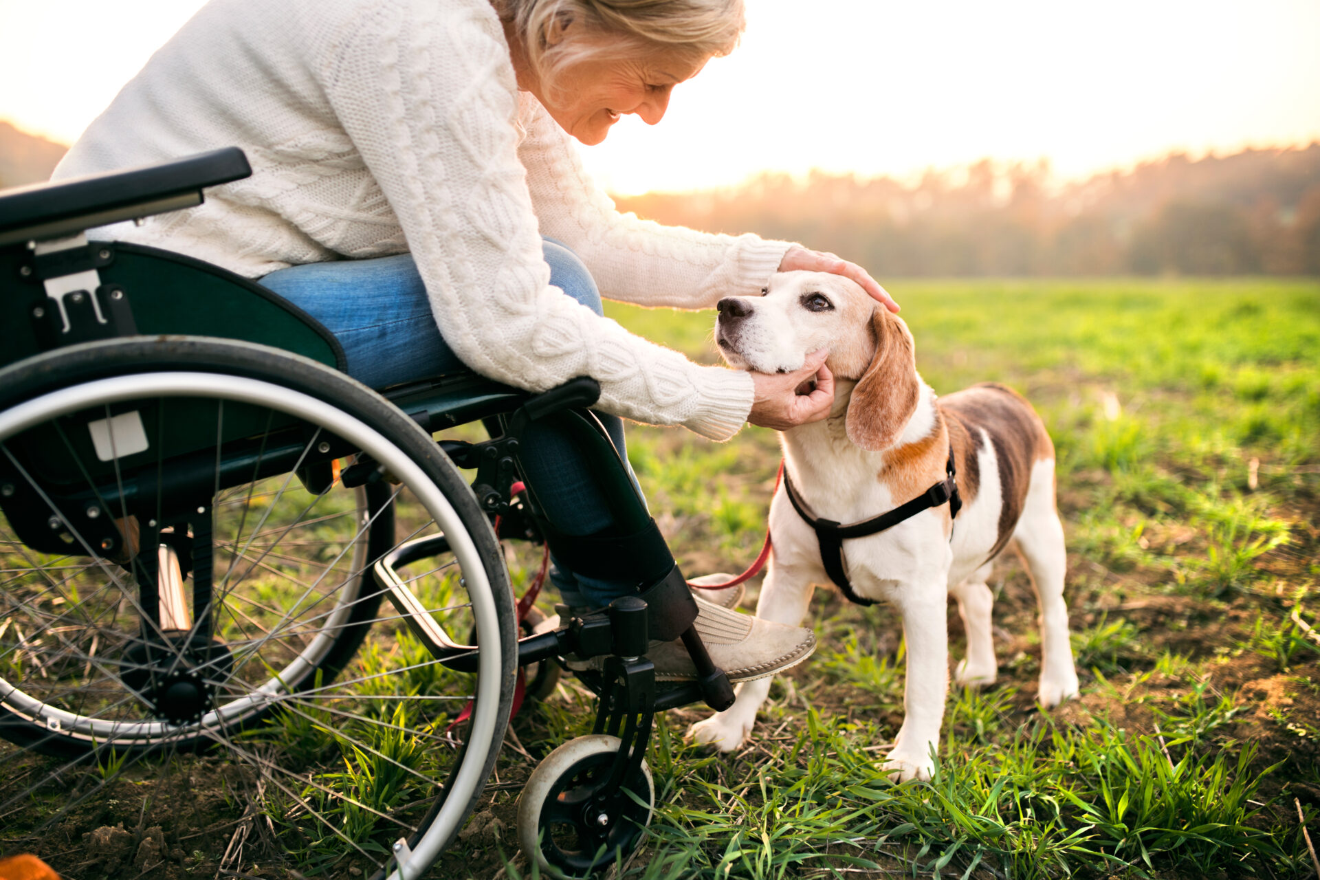 What Conditions Automatically Qualify You For Disability 