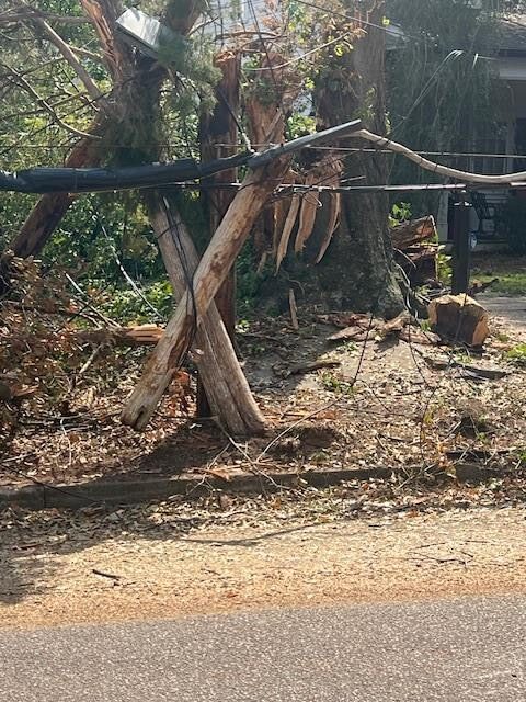 Weathering the Storm: Hurricane Helene's Impact on South Carolina and Georgia