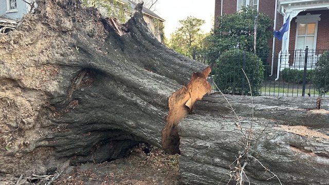 Weathering the Storm: Hurricane Helene's Impact on South Carolina and Georgia