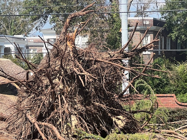 Weathering the Storm: Hurricane Helene's Impact on South Carolina and Georgia