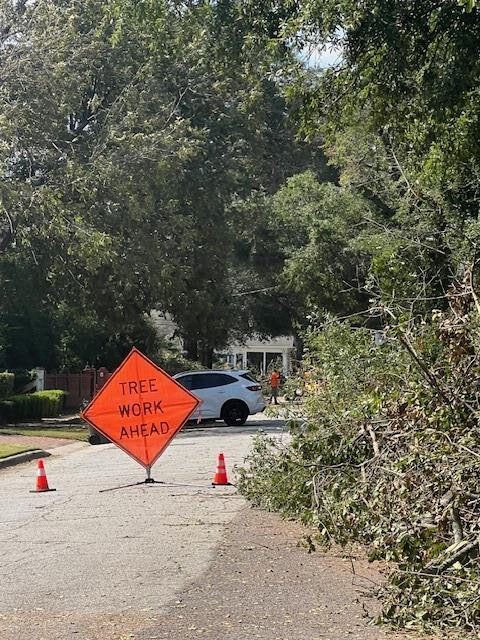 Weathering the Storm: Hurricane Helene's Impact on South Carolina and Georgia